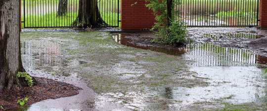 flooded-yard