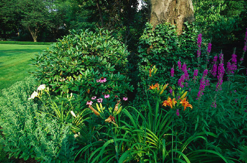 garden - Shrubs and seasonal flowers in bloom near the 16th hole.
